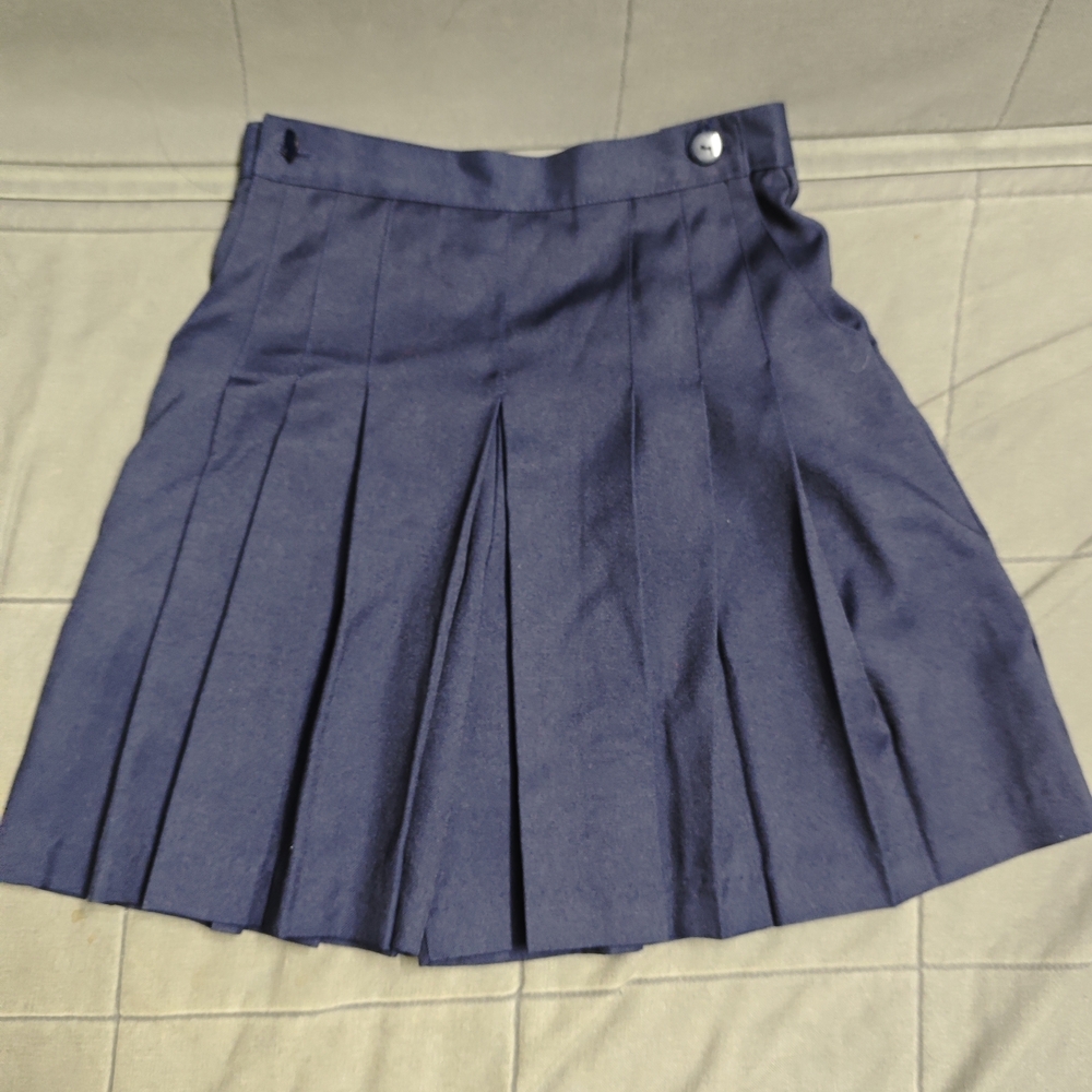 Vintage LOFT Dark Blue A-Line Pleated Skirt